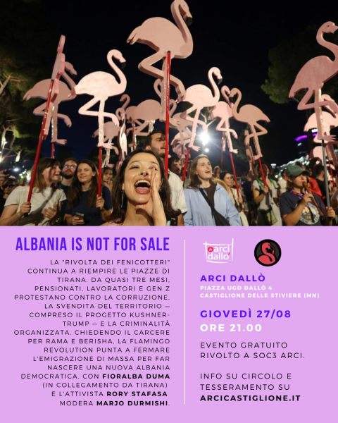 🦩 Flamingo Revolution 📣