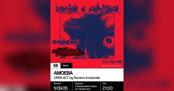 Amoeba + Numero Irrazionale
