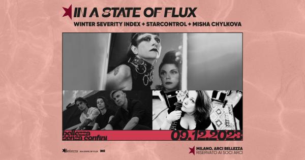 IN A STATE OF FLUX _ VOL.2