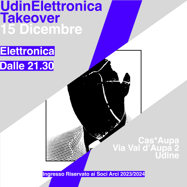 UdinElettronica takeover