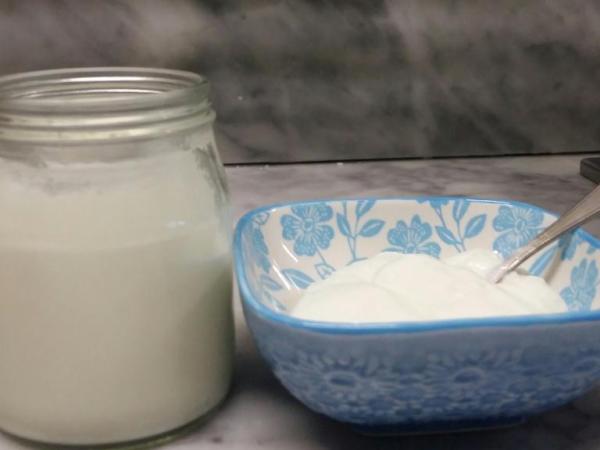 La Domenica delle Autoproduzioni: Yogurt e Labneh