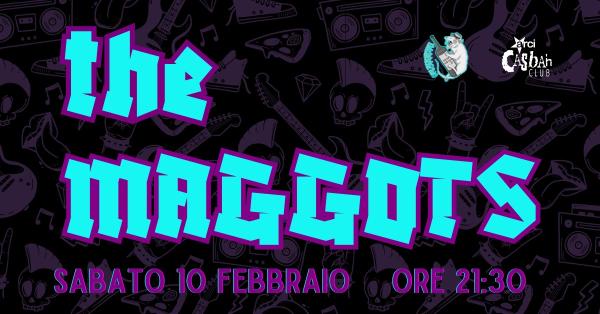 The Maggots live!+ HB Marco Bazzi