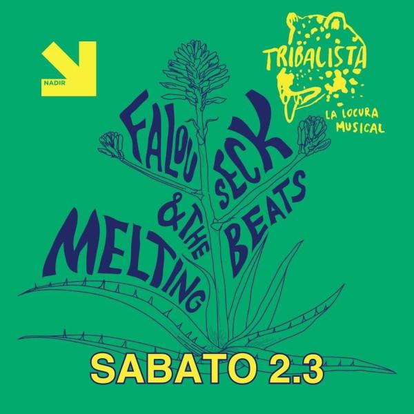 FALOU SECK & THE MELTING BEATS + TRIBALISTA dj set