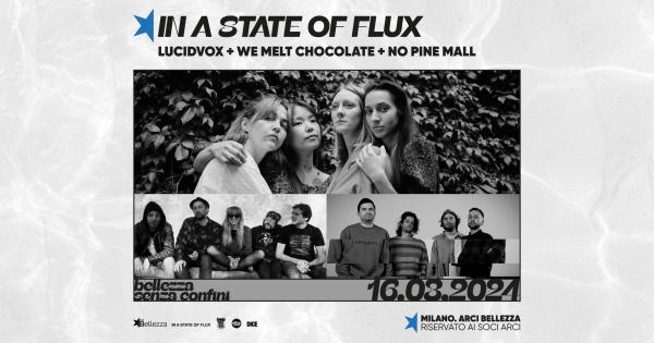 LUCIDVOX x IN A STATE OF FLUX