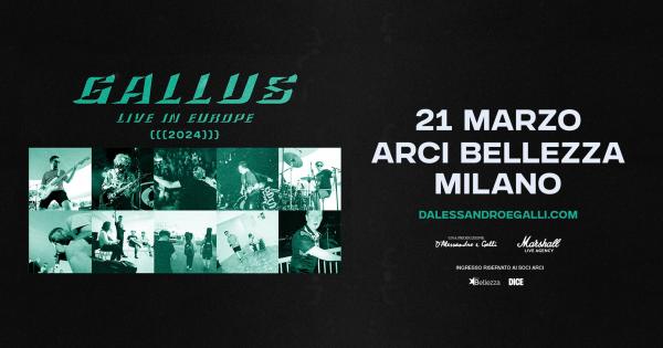 GALLUS