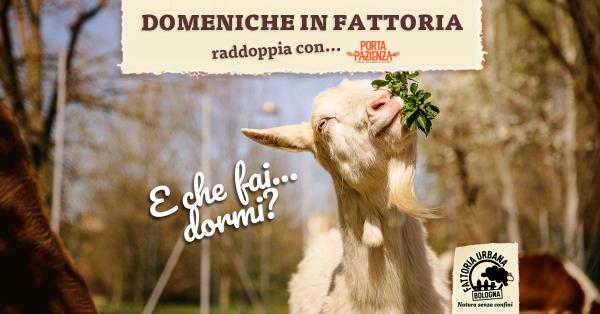 Domeniche in Fattoria
