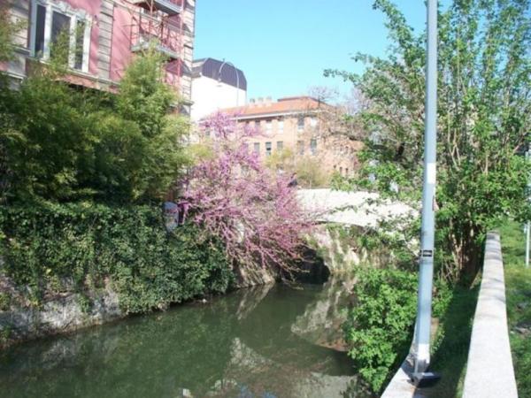 Viaggi nei paraggi: Gorlaprecotto