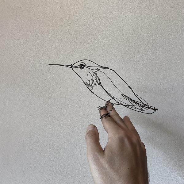 COLIBRI' in filo di ferro con Giovanni Pinosio