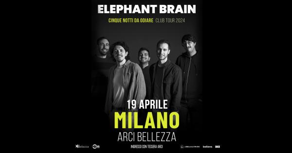 ELEPHANT BRAIN