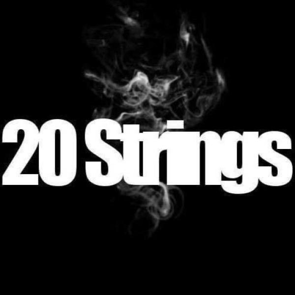20 Strings trio
