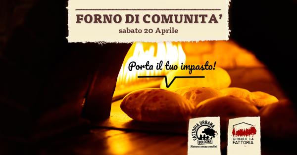 Forno di comunità
