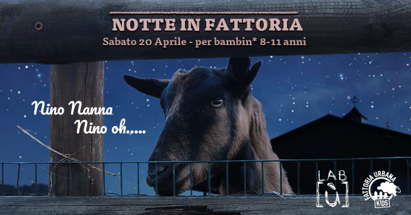 Notte in fattoria