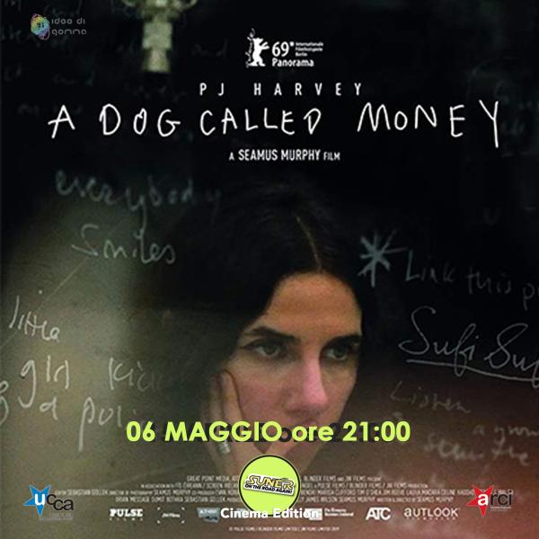 A DOG CALLED MONEY - Proiezione del docufilm di PJ Harvey