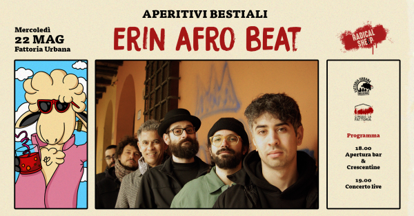 APERITIVI BESTIALI || Erin Afro Beat