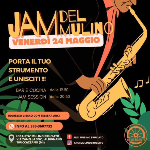 Jam del mulino