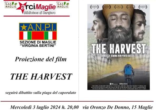 Proiezione "The harvest"