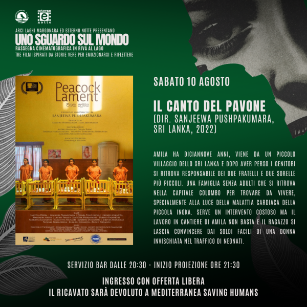 Uno sguardo sul mondo - Il Canto Del Pavone (2022)