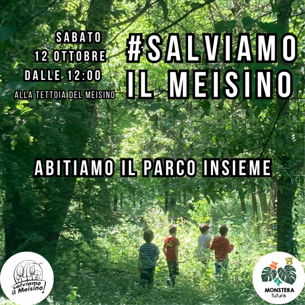 #SALVIAMOILMEISINO
