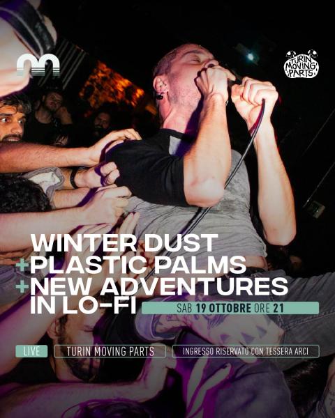 Winter Dust + Plastic Palms + New Adventures in lo-fi