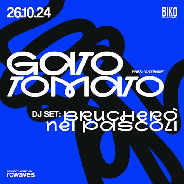 GATO TOMATO presenta 'ANTENNE'