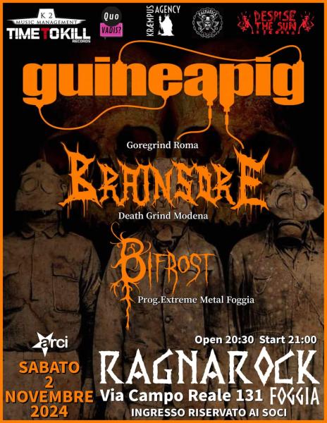 Guineapig - Brainsore - Bifrost