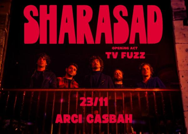 Sharasad + TV Fuzz