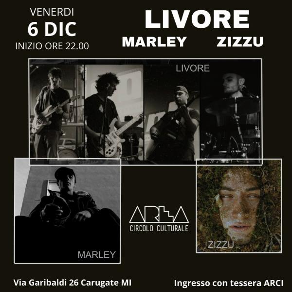 LIVORE + MARLEY + ZIZZU