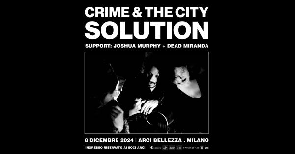 CRIME & THE CITY SOLUTION