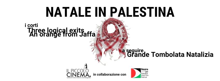 NATALE IN PALESTINA - corti palestinesi