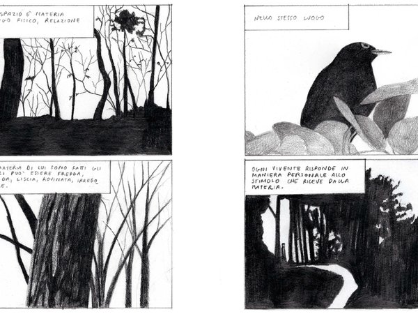 Dalla fanzine di RACHELE MARRAZZO