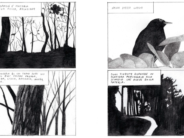 Dalla fanzine di RACHELE MARRAZZO
