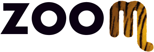 Zoom